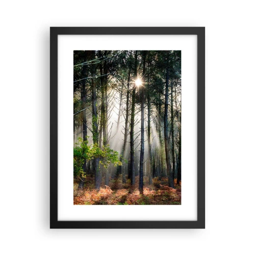 Affiche dans un cadre noir - Poster - Une zone forestière - 30x40 cm