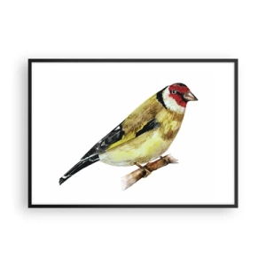 Affiche dans un cadre noir - Poster - Un oiseau à tête rouge sur une branche - 100x70cm - Portrait d'oiseau - Décoration murale moderne pour le salon et la chambre ARTTOR