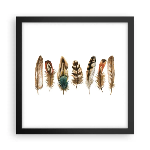 Affiche dans un cadre noir - Poster - Variation à plumes - 30x30 cm