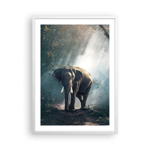 Affiche dans un cadre blanc - Poster - Une balade tranquille - 50x70 cm