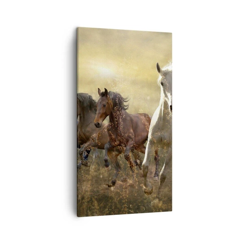 Impression sur toile - Image sur toile - Vive la liberté! - 45x80 cm