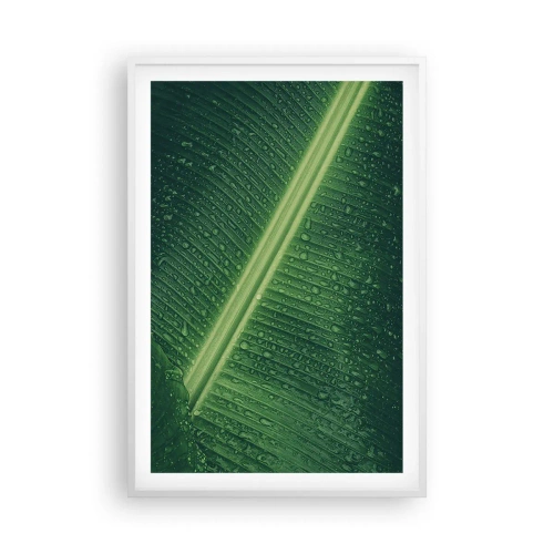 Affiche dans un cadre blanc - Poster - Structure de vert - 61x91 cm