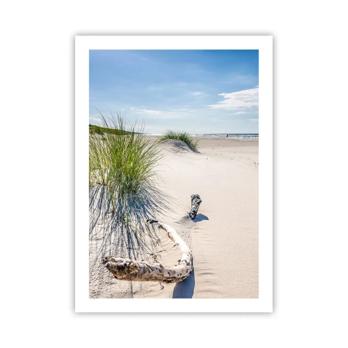 Affiche - Poster - Plage avec dunes, herbe et branches au soleil - 50x70cm - La plus belle? La Baltique - Décoration murale moderne pour le salon et la chambre ARTTOR