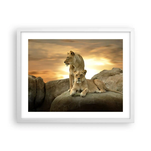 Affiche dans un cadre blanc - Poster - Majesté royale - 50x40 cm