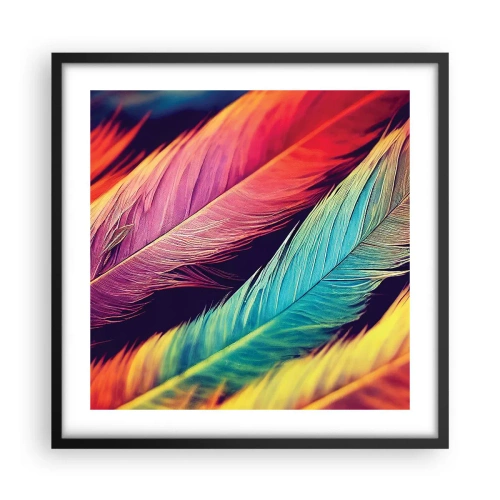 Affiche dans un cadre noir - Poster - Arc-en-ciel de plumes - 50x50 cm