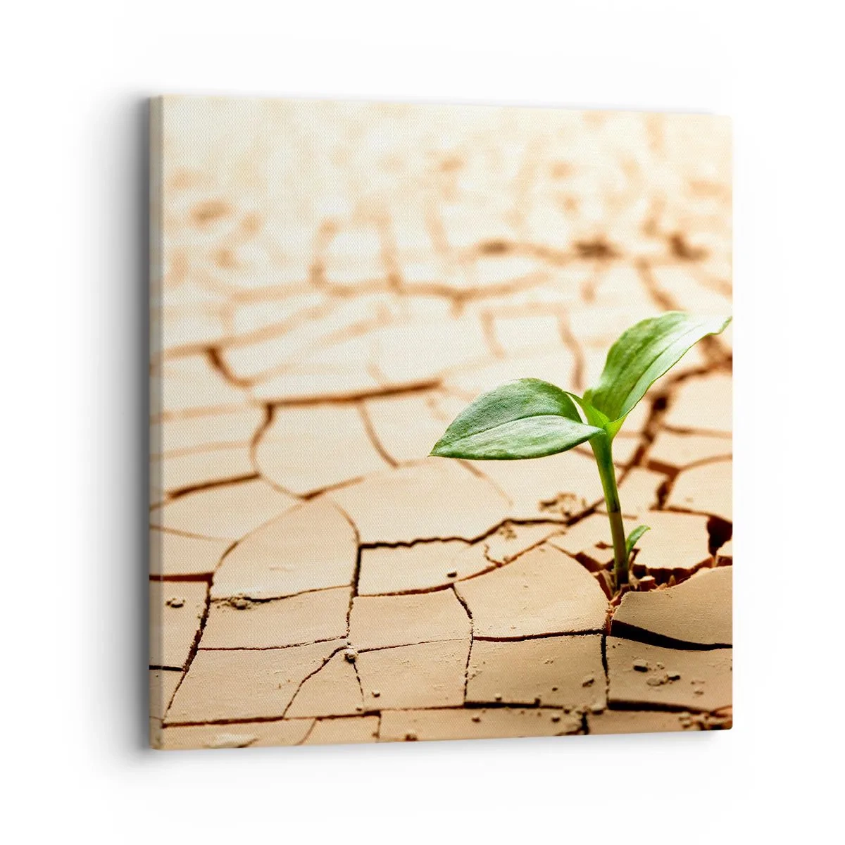 Impression sur toile - Image sur toile - La force indomptable de la vie - 30x30 cm