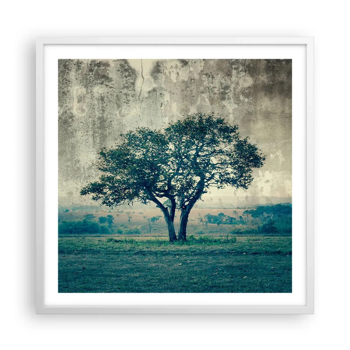 Affiche dans un cadre blanc - Poster - Un pommier sur un champ bleu ? - 60x60 cm