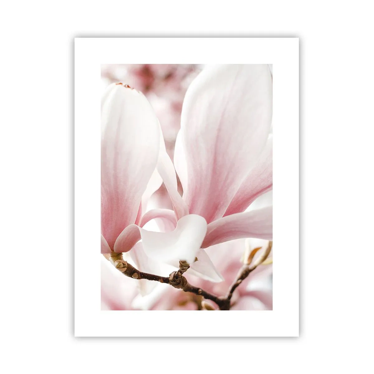 Affiche - Poster - Abondance de tendresse - 30x40 cm