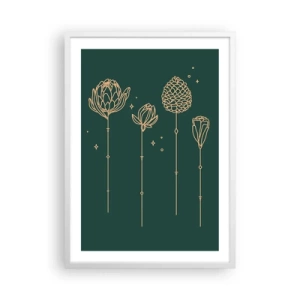 Affiche dans un cadre blanc - Poster - La famille Plante - 50x70 cm