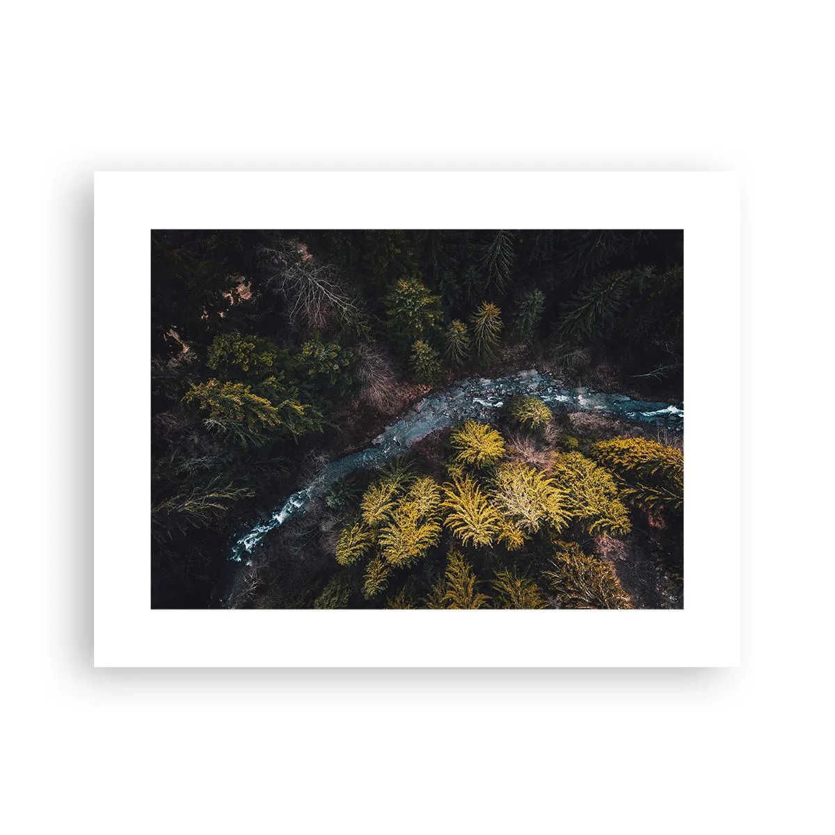 Affiche - Poster - De plus en plus vite - 40x30 cm