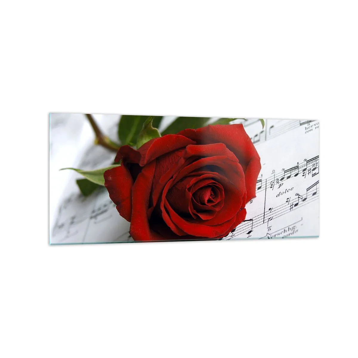 Impression sur verre - Image sur verre - Une rose rouge sur fond de notes de musique sur papier blanc. - 120x50cm - Musique des sentiments en écarlate - Décoration murale moderne pour le salon et la chambre ARTTOR