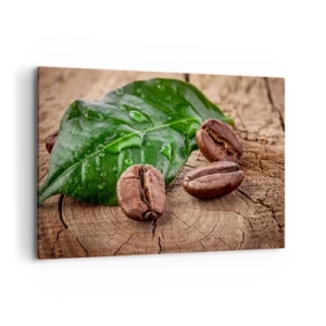 Impression sur toile - Image sur toile - Grains de café et feuille verte sur fond de bois - 100x70cm - La plus vraie et noire - Décoration murale moderne pour le salon et la chambre ARTTOR
