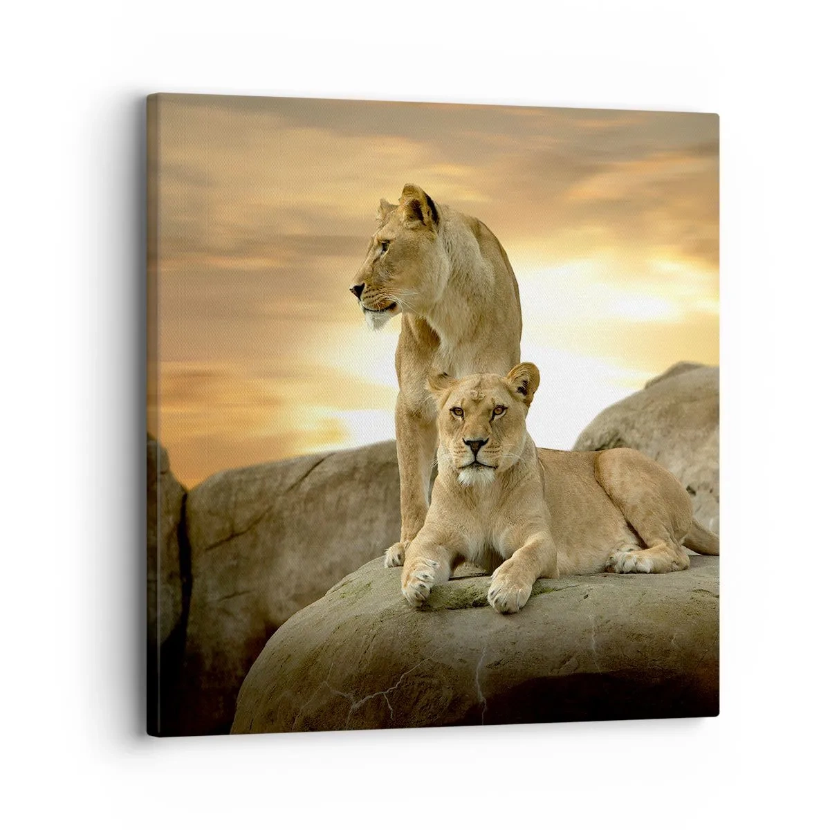 Impression sur toile - Image sur toile - Majesté royale - 30x30 cm