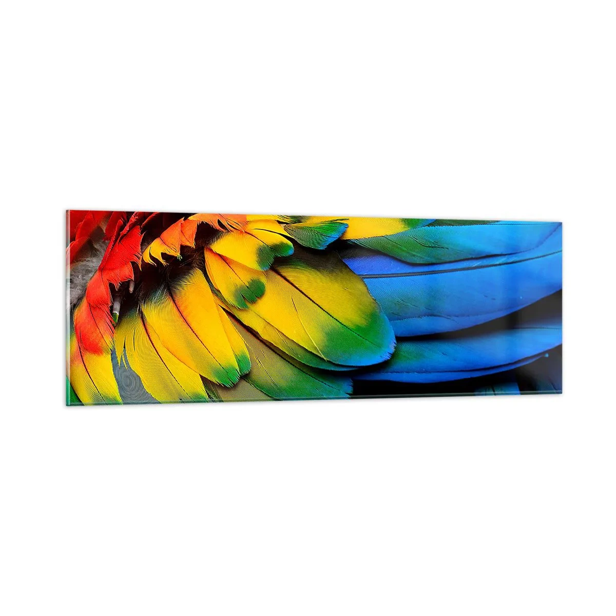 Impression sur verre - Image sur verre - Oiseau de paradis - 90x30 cm
