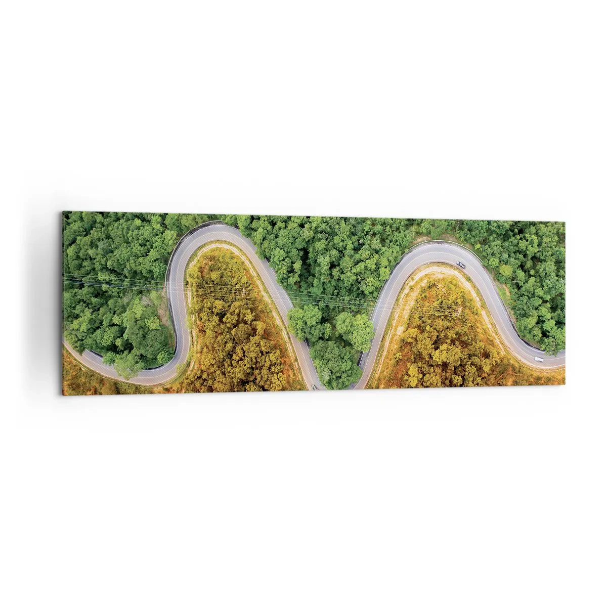 Impression sur toile - Image sur toile - Une route sinueuse à travers la forêt vue à vol d'oiseau - 160x50cm - Frontieres et differences - Décoration murale moderne pour le salon et la chambre ARTTOR