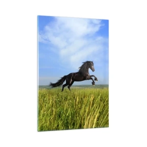 Impression sur verre - Image sur verre - Un cheval noir courant contre un ciel bleu et une prairie verte - 80x120cm - Un manifeste de liberté passionnant - Décoration murale moderne pour le salon et la chambre ARTTOR