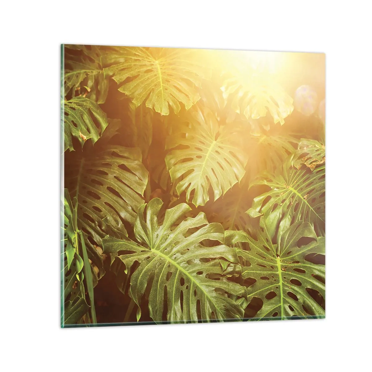 Impression sur verre - Image sur verre - Se fondre dans la verdure - 30x30 cm