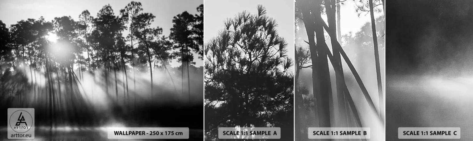 Échantillon de Papier Peint Autocollant Deluxe Sticker - Soleil inarrêtable - Paysage, Forêt, Nature - 100x30 cm