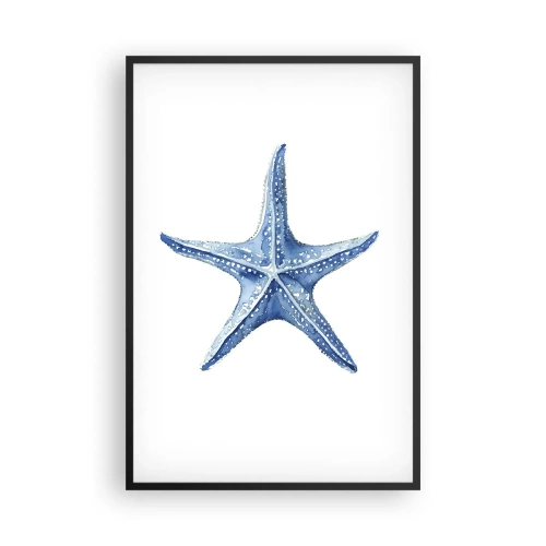 Affiche dans un cadre noir - Poster - Étoile de mer - 61x91 cm