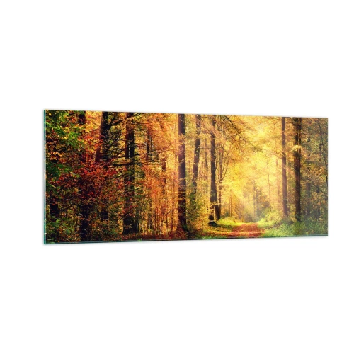 Impression sur verre - Image sur verre - Silence d'or en forêt - 100x40 cm