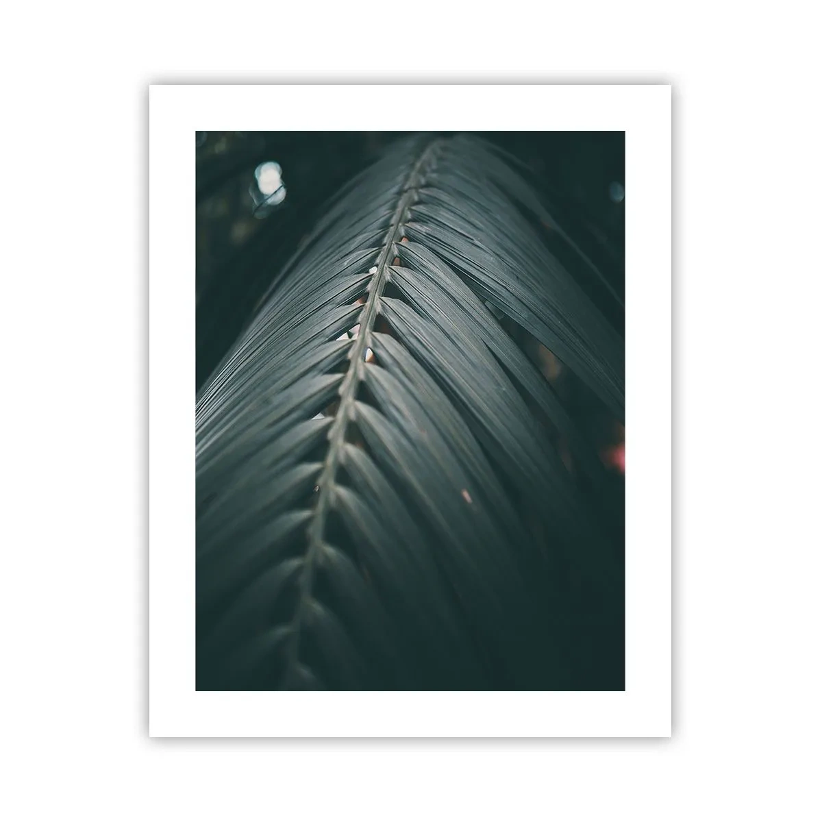 Affiche - Poster - Précision de la nature - 40x50 cm