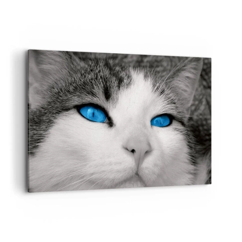 Impression sur toile - Image sur toile - Portrait d'un chat aux yeux bleus en noir et blanc - 100x70cm - Yeux bleus inhabituels - Décoration murale moderne pour le salon et la chambre ARTTOR