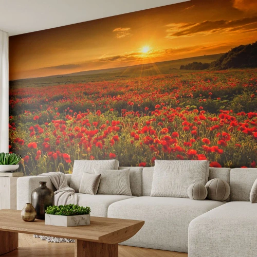 Papier Peint Photo Premium Sand - Parmi les vagues des prairies bruissantes, parmi les fleurs du déluge - Paysage, Fleurs, Coquelicots - 250x175 cm