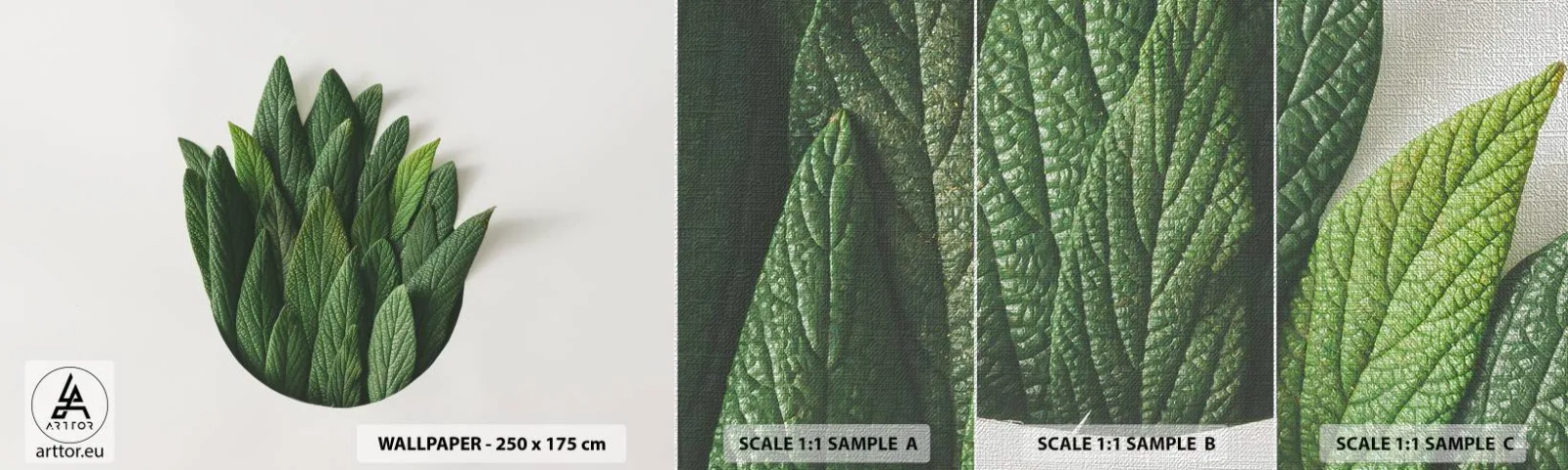 Échantillon de Papier Peint Premium Canvas - Curiosité sans retenue - Sage, feuille de sauge, Herbe - 100x30 cm