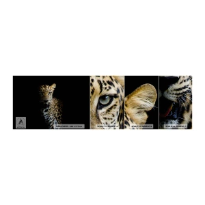 Échantillon de Papier Peint Autocollant Deluxe Sticker - Beauté sombre - Animaux, léopard, Chat sauvage - 100x30 cm