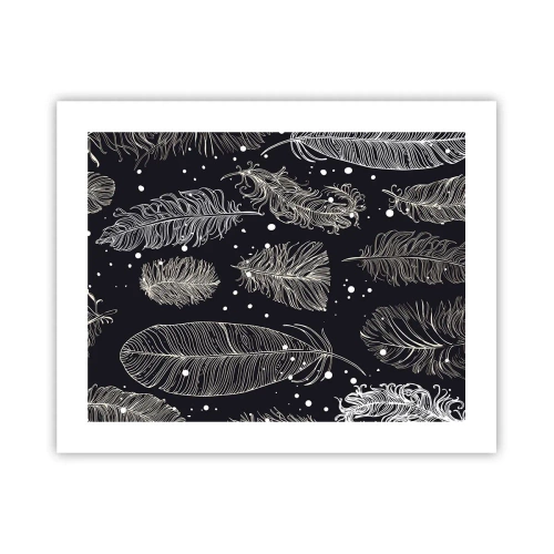 Affiche - Poster - Toile de plumes - 50x40 cm