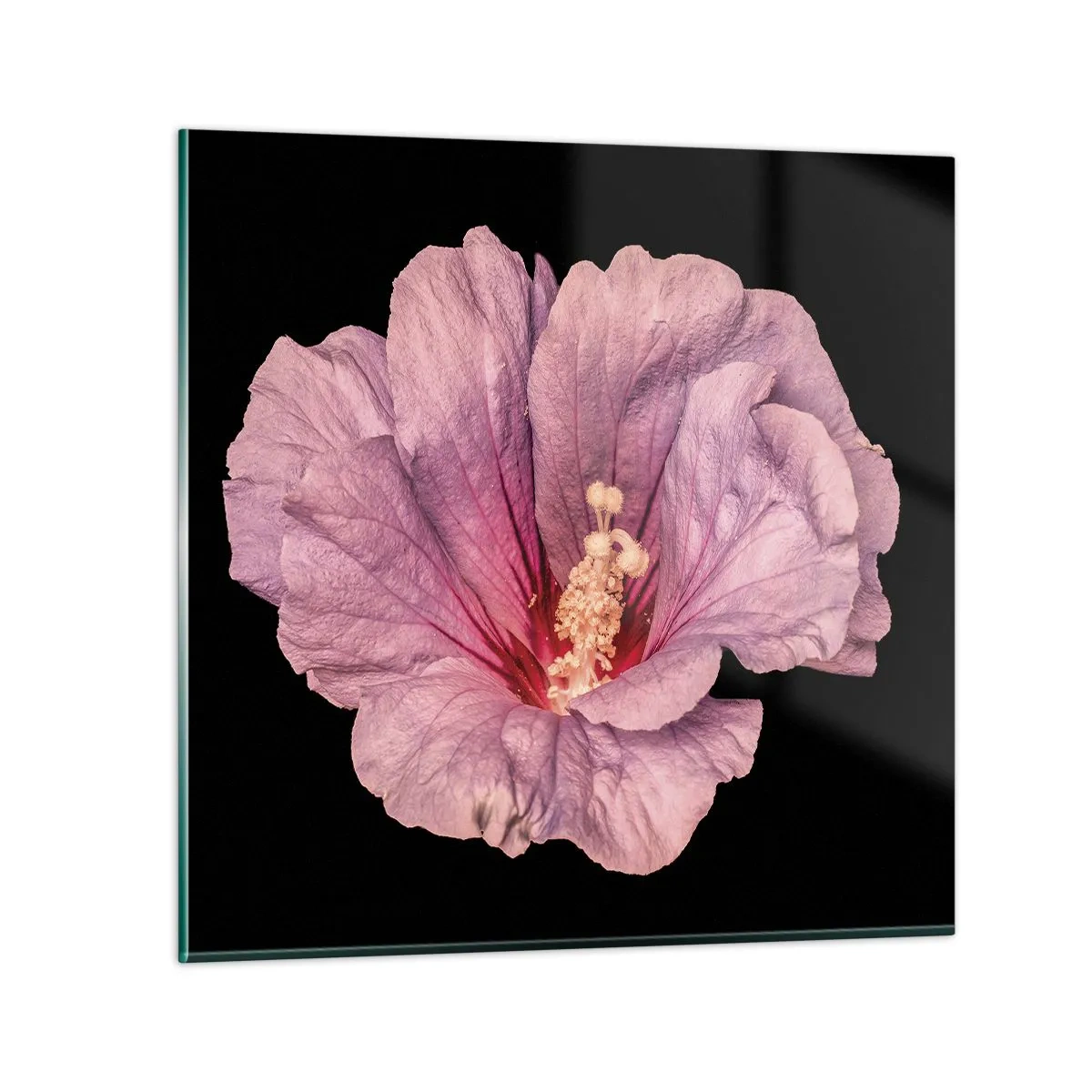 Impression sur verre - Image sur verre - Directement au coeur - 70x70 cm