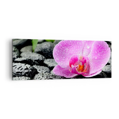 Impression sur toile - Image sur toile - Orchidée rose sur des pierres noires humides avec des feuilles vertes - 140x50cm - Comme un coeur ouvert - Décoration murale moderne pour le salon et la chambre ARTTOR