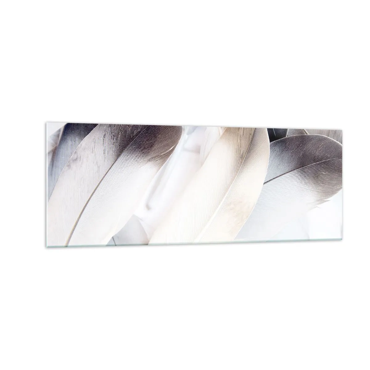 Impression sur verre - Image sur verre - Gros plan de plumes délicates dans des tons de blanc et de gris - 140x50cm - Presque angélique - Décoration murale moderne pour le salon et la chambre ARTTOR