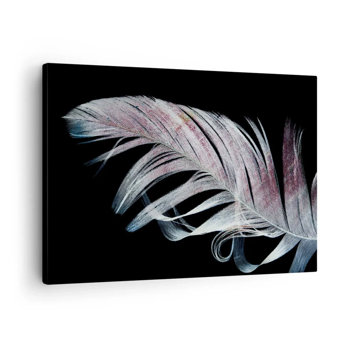 Impression sur toile - Image sur toile - Une plume délicate sur fond noir dans une démarche artistique - 70x50cm - Pensez au toucher - Décoration murale moderne pour le salon et la chambre ARTTOR