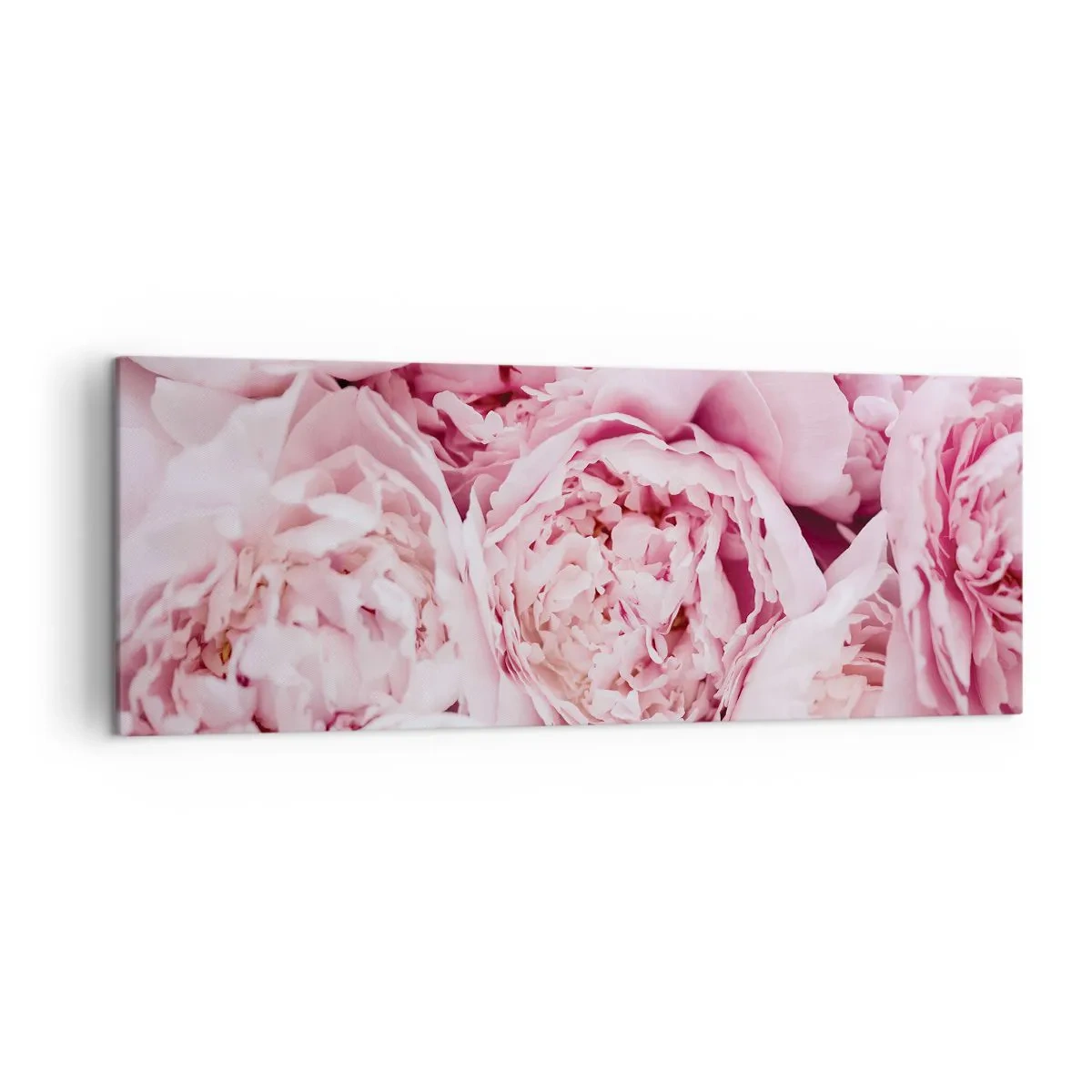 Impression sur toile - Image sur toile - Gros plan d'un bouquet de pivoines roses - 140x50cm - Caliné et parfumé - Décoration murale moderne pour le salon et la chambre ARTTOR