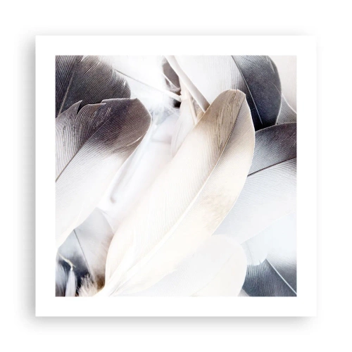 Affiche - Poster - Presque angélique - 50x50 cm