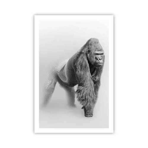 Affiche - Poster - Confiant en sa force - 61x91 cm