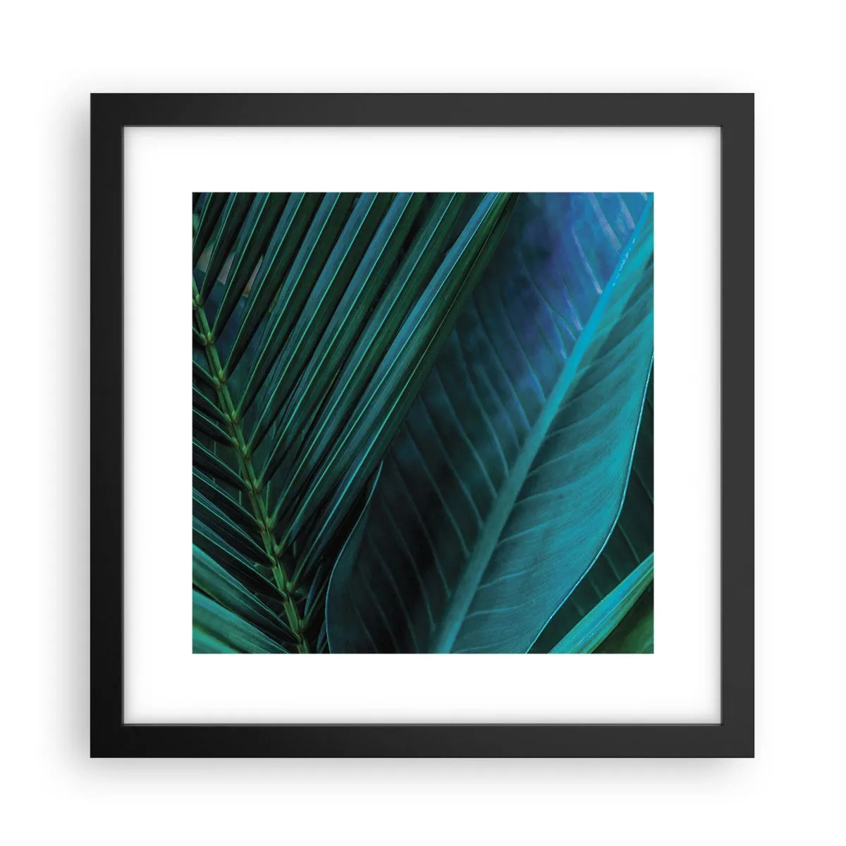 Affiche dans un cadre noir - Poster - L'anatomie du vert - 30x30 cm