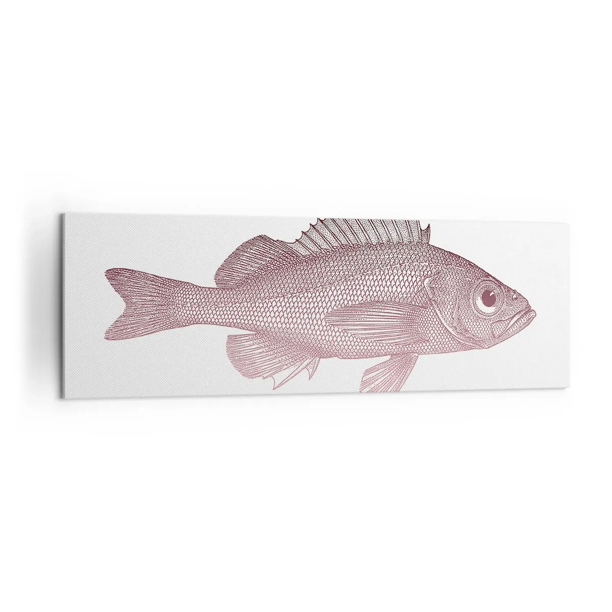 Impression sur toile - Image sur toile - Illustration détaillée d'un poisson sur fond blanc - 160x50cm - Poisson aux grands yeux - Décoration murale moderne pour le salon et la chambre ARTTOR