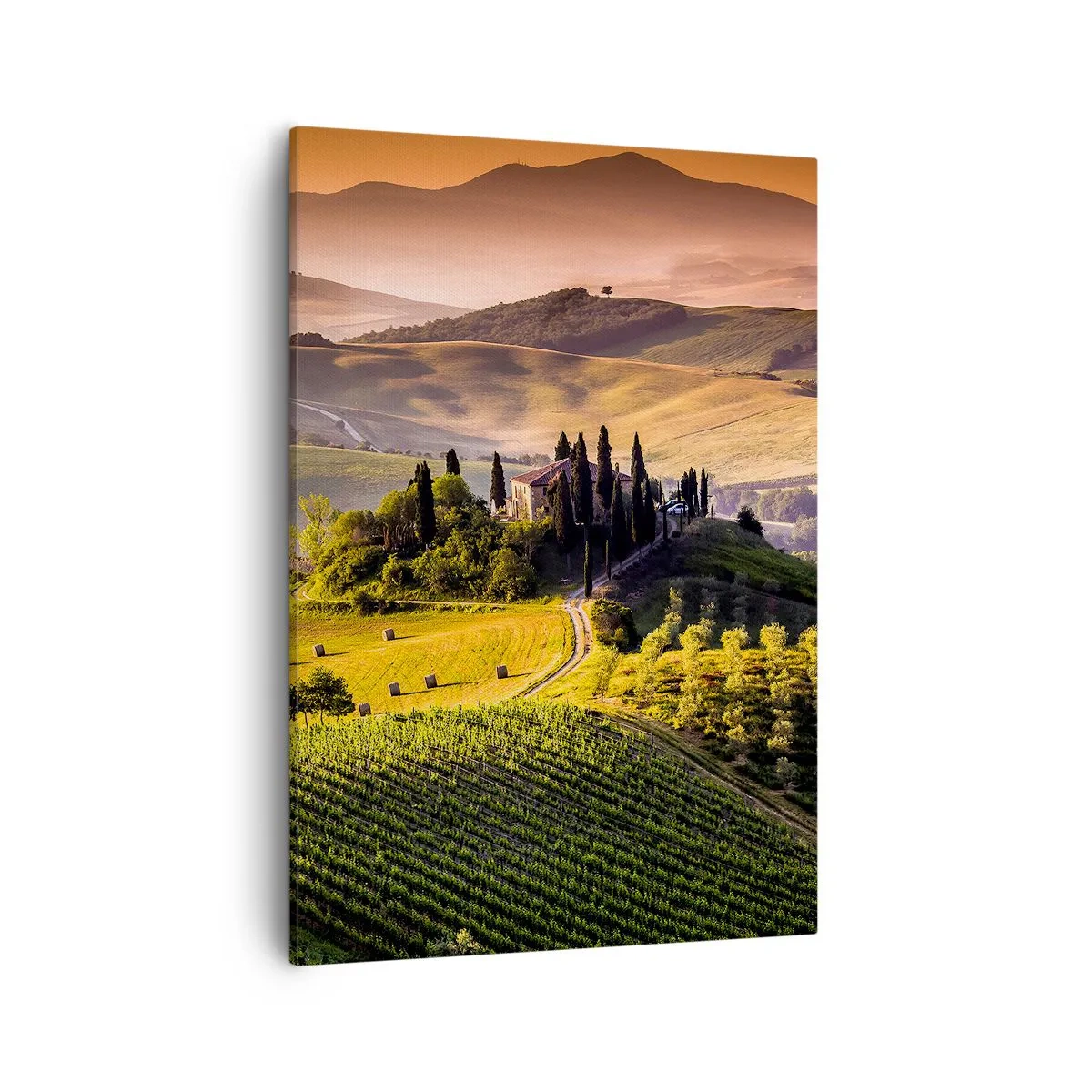 Impression sur toile - Image sur toile - Paysage toscan avec des vignes et une maison sur une colline - 50x70cm - Arcadie - le paysage toscan - Décoration murale moderne pour le salon et la chambre ARTTOR