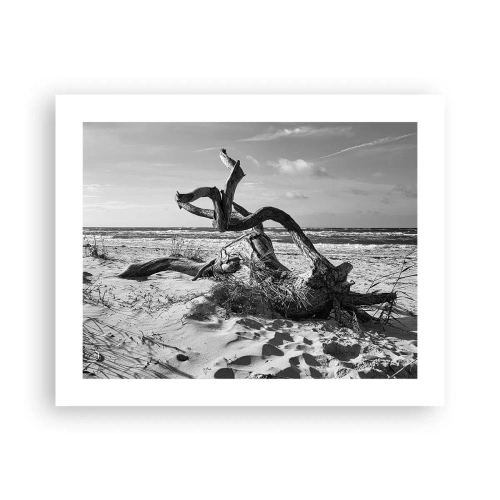 Affiche - Poster - Sculpture marine - 50x40 cm