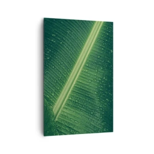 Impression sur toile - Image sur toile - Une feuille verte avec des gouttes d'eau à sa surface - 80x120cm - Structure de vert - Décoration murale moderne pour le salon et la chambre ARTTOR