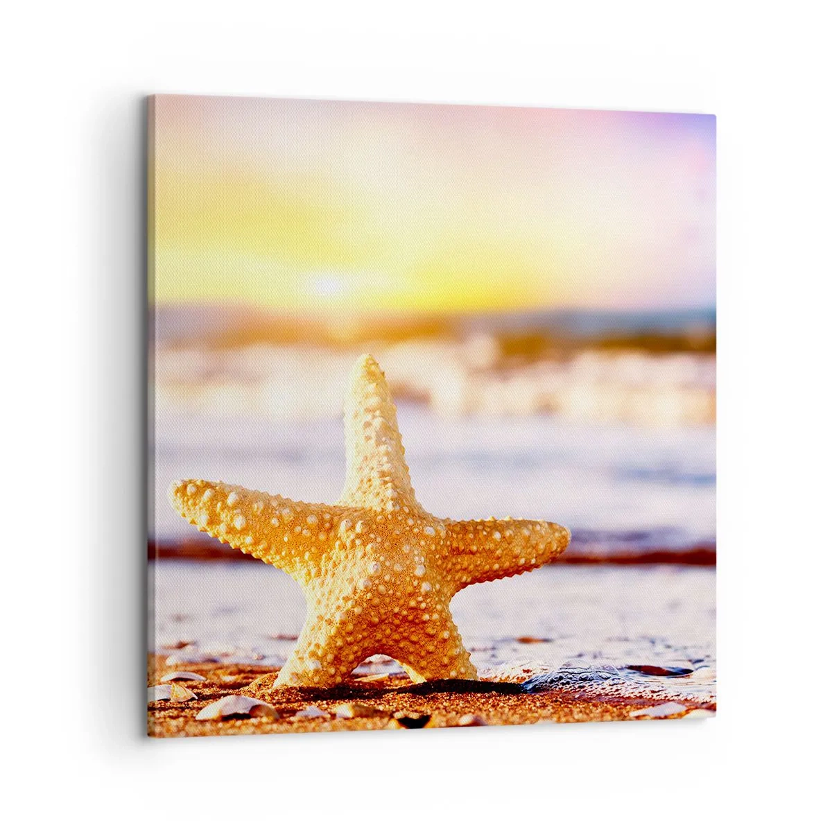Impression sur toile - Image sur toile - Cadeau de la mer - 60x60 cm