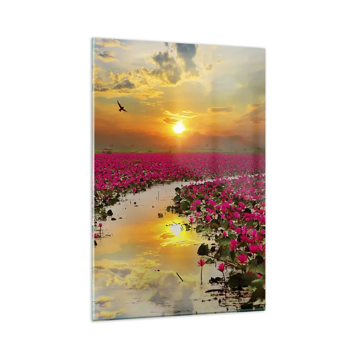 Impression sur verre - Image sur verre - Un champ de nénuphars roses au coucher du soleil - 80x120cm - La vie secrète du lac - Décoration murale moderne pour le salon et la chambre ARTTOR