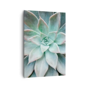 Impression sur toile - Image sur toile - Gros plan d'une succulente verte - 70x100cm - Le coeur du désert - Décoration murale moderne pour le salon et la chambre ARTTOR