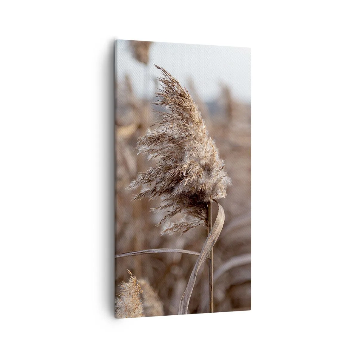 Impression sur toile - Image sur toile - Il est temps de s'envoler avec le vent - 55x100 cm