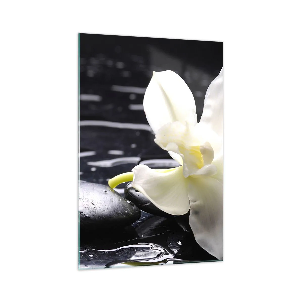 Impression sur verre - Image sur verre - Une orchidée blanche sur un fond de pierres noires et d'eau. - 70x100cm - Étude en noir et blanc - Décoration murale moderne pour le salon et la chambre ARTTOR