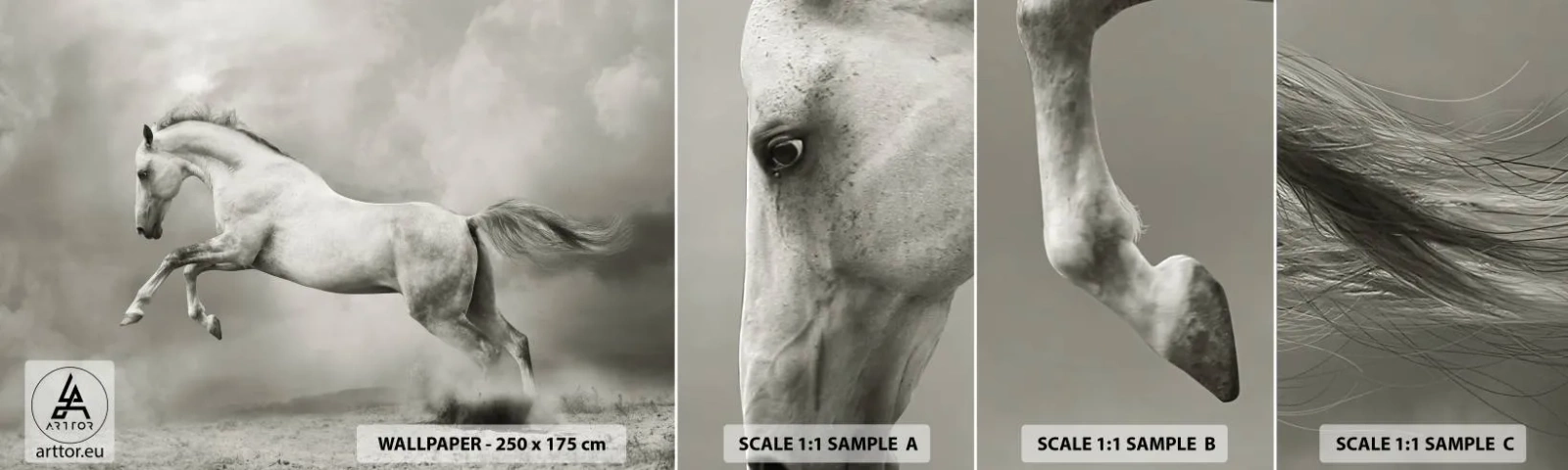 Échantillon de Papier Peint Autocollant Deluxe Sticker - Entre le réveil et le sommeil - Animaux, Cheval, Nature - 100x30 cm