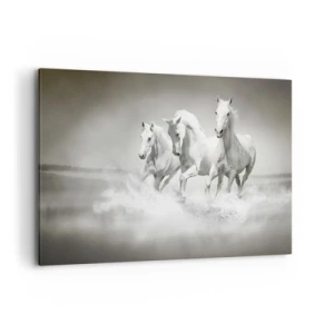 Impression sur toile - Image sur toile - Trois chevaux blancs galopant dans l'eau - 120x80cm - La folie blanche - Décoration murale moderne pour le salon et la chambre ARTTOR