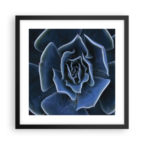 Affiche dans un cadre noir - Poster - Fleur du désert - 40x40 cm
